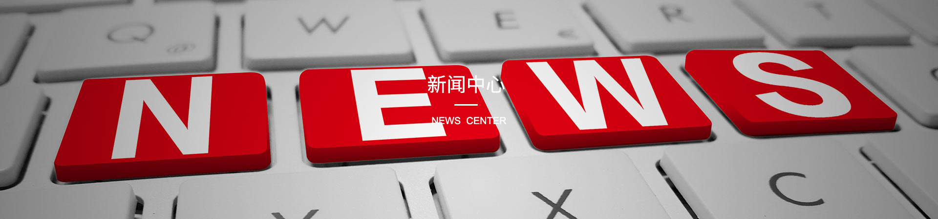 十二宫专业柴犬舍 - 专业作育俱备优秀品相气质的极致双血统柴犬! 十二宫专业柴犬舍 - 专业作育俱备优秀品相气质的极致双血统柴犬!